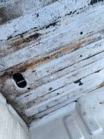 Dodge  - Used 94-01 Dodge Ram White 6.5ft Short Bed - Image 22