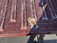 Ford  - 04-08 Ford F-150 Brown/Gold 5.5ft Short Truck Bed - Image 15