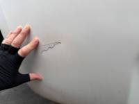 Toyota  - 07-13 Toyota Tundra Standard or Extended Cab 6.5 ft White Short Truck Bed - Image 62