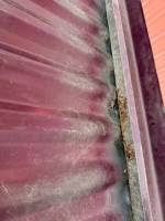 Chevrolet  - Used 04-13 Chevy Colorado/GMC Canyon 5ft Crew Cab Burgundy Truck Bed - Image 43