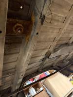 Chevrolet  - Used 73-87 Chevy CK White 8 Ft Dual Tank Truck Bed - Image 59