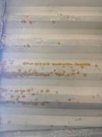 98-00 Mazda B Series White 6ft Truck Bed - Image 36