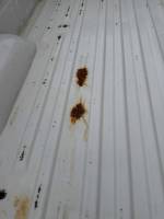 Toyota  - 00-06 Toyota Tundra 6ft White Bed - Image 13