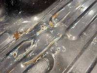 Dodge  - 09-18 Dodge Ram Brown 6.4ft Short Bed. - Image 18