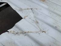 Chevrolet  - 99-06 Chevy Silverado/ GMC Sierra White 6.5ft Short Bed - Image 13