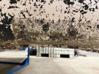 Ford  - 99-10 Ford F-250 F-350 White Superduty 8ft Short Bed Truck Bed - Image 94