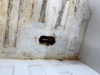 Dodge  - 97-04 Dodge Dakota 6.5ft White Truck Bed - Image 17