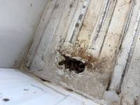 Dodge  - 97-04 Dodge Dakota 6.5ft White Truck Bed - Image 18