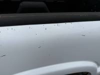 Chevrolet  - 94-03 Chevy S-10/GMC Sonoma White 6ft Short Truck Bed - Image 31