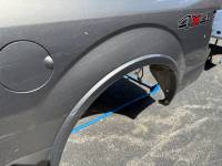 Ford  - 15-20 Ford F-150 Gray 6.5ft Short Truck Bed - Image 16
